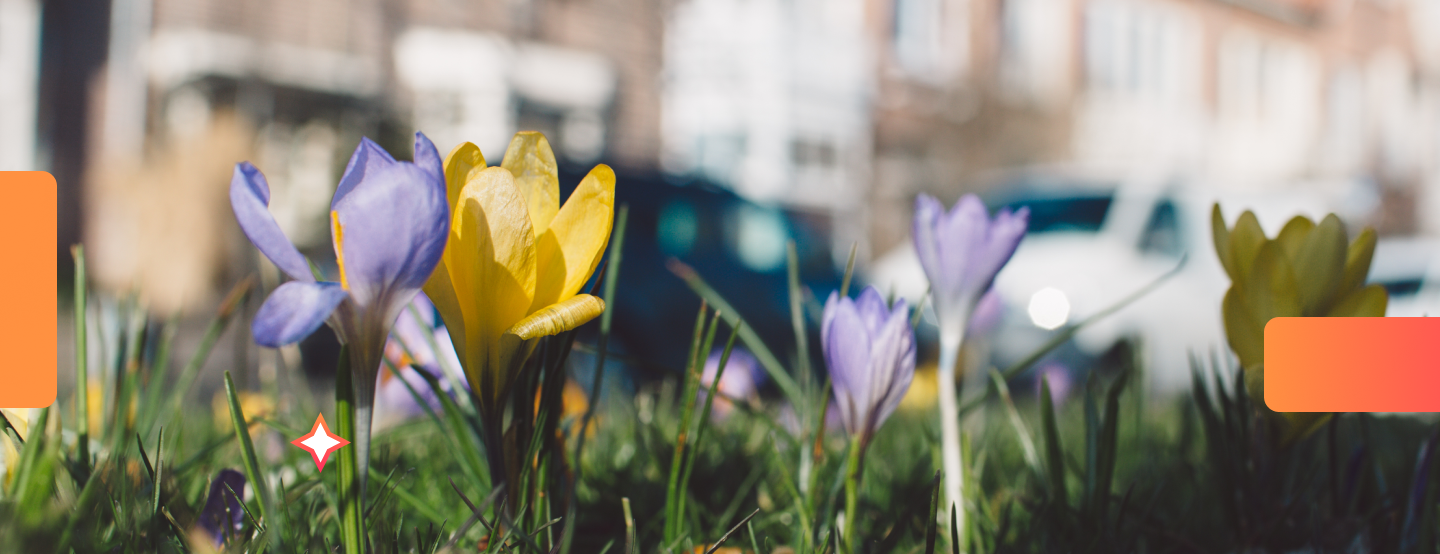 Spring Real Estate Season Is Here: Use Online Notaries